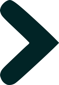 Flecha-Allance-Oscura