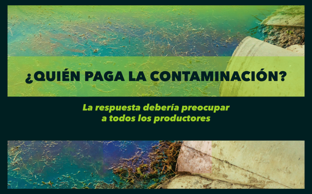 ¿Quién paga la contaminación?